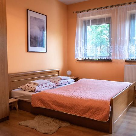 Apartament Domino - Krzeptowki 06 자코파네 외부 사진